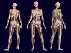 Straight Information about Bone Density Testing