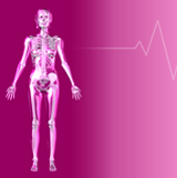 An Update On Osteoporosis
